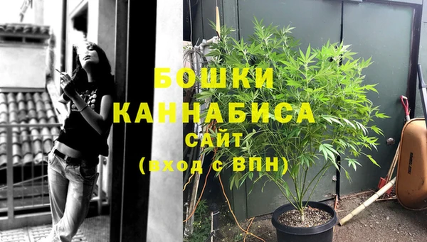 СК Новокубанск