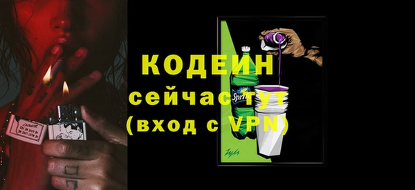 ГАЛЛЮЦИНОГЕННЫЕ ГРИБЫ Гусь-Хрустальный