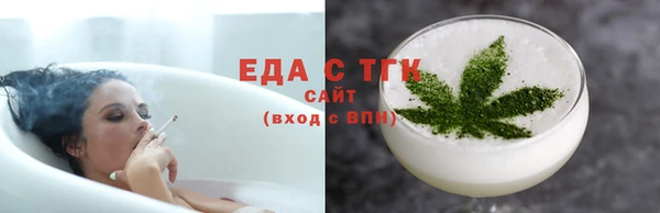твердый Гусев