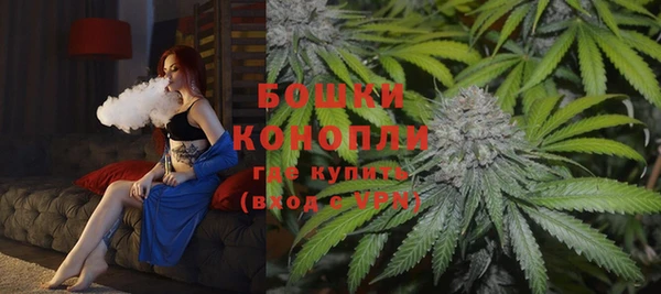стафф Кулебаки