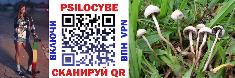 Псилоцибиновые грибы Psilocybe  наркошоп  Одинцово 
