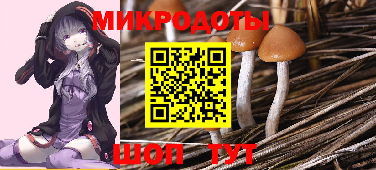 Псилоцибиновые грибы Psilocybe  Вход с VPN  Одинцово 